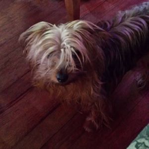 Meet your Posher, Ann